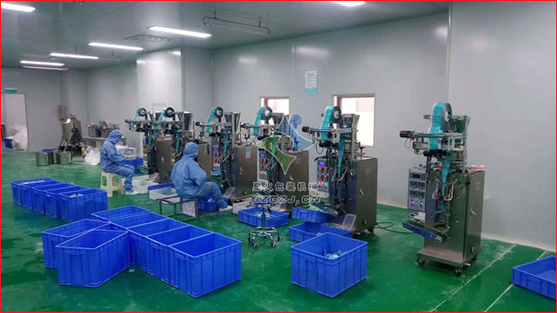 小袋清洗鹽包裝機,袋裝藥粉包裝機